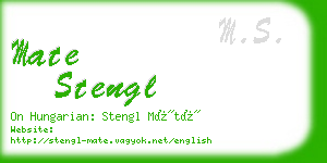 mate stengl business card